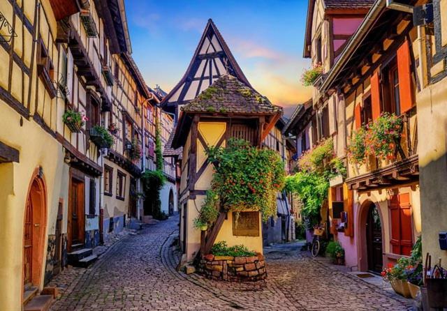 Apartament Le Marcellin Colmar - Garage - Terrasse Zewnętrze zdjęcie